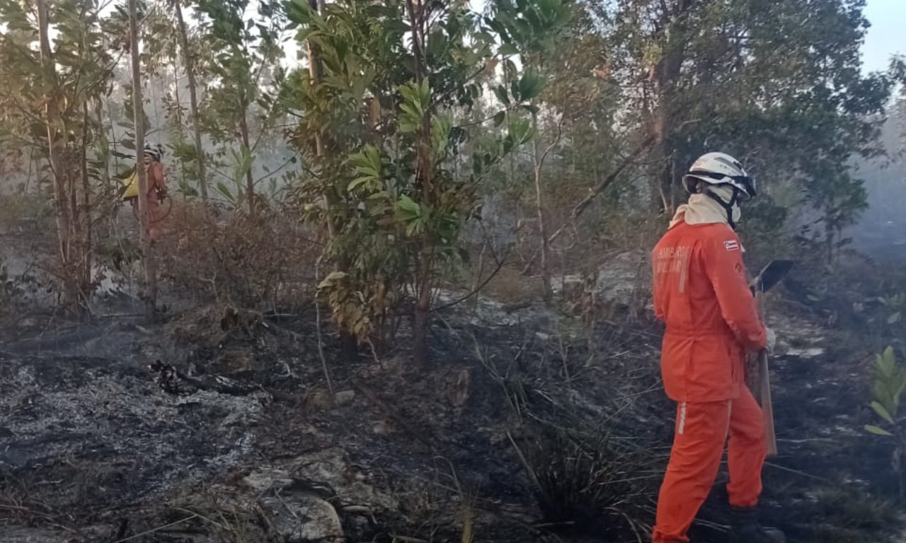 Bombeiros combatem incêndio em Massarandupió; chamas foram controladas