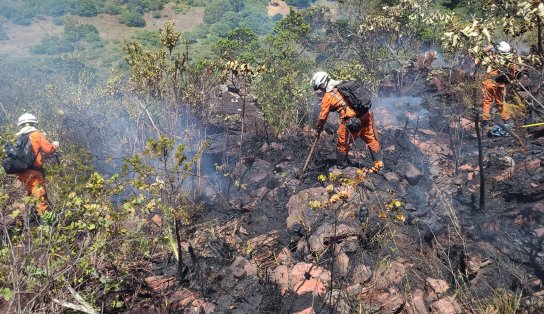 Incêndios florestais são eliminados em três regiões na Bahia