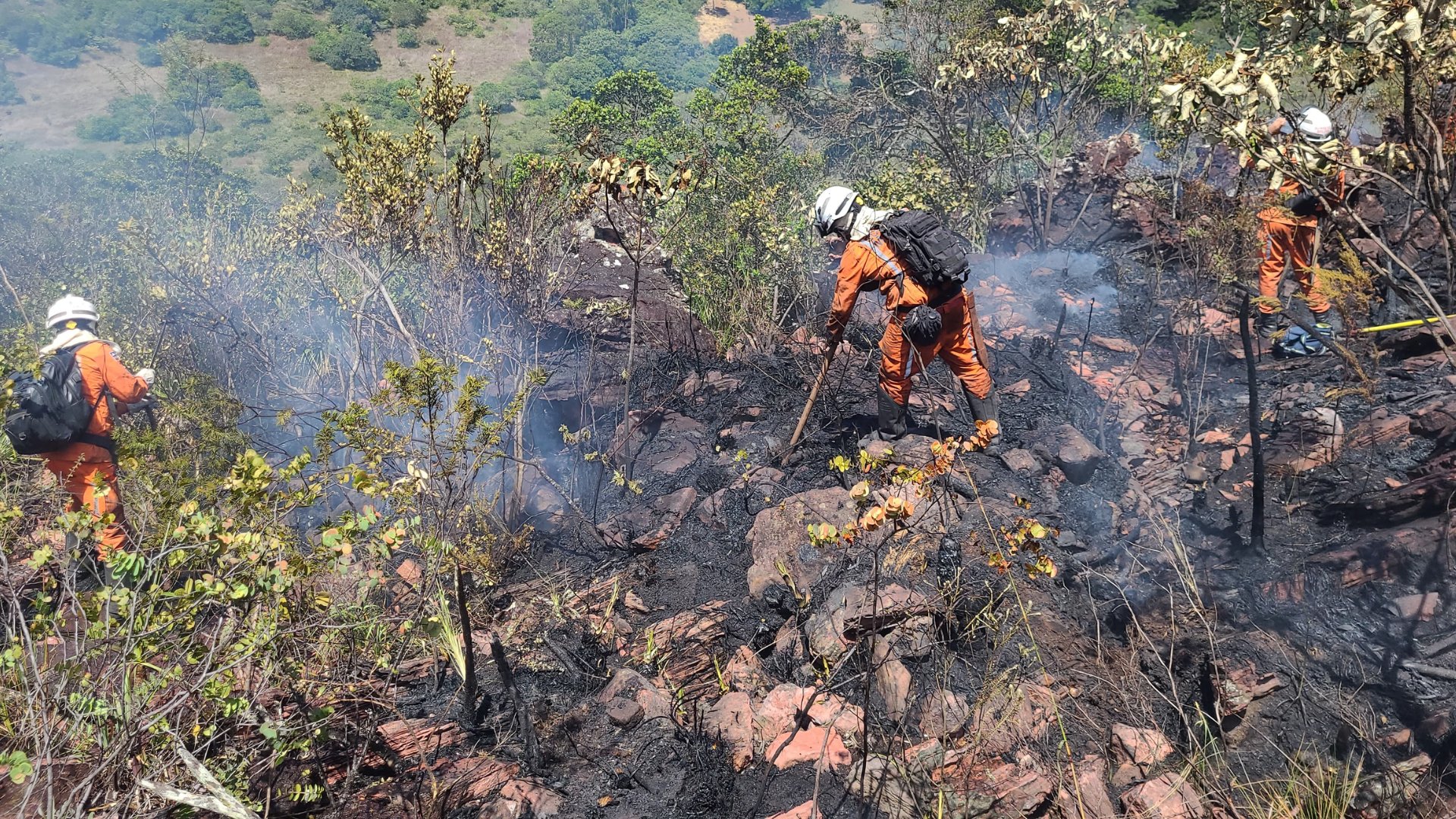 Incêndios florestais são eliminados em três regiões na Bahia