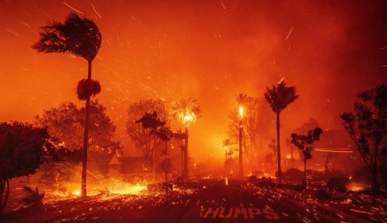 Mansões de famosos são atingidas por incêndios em Los Angeles; região da Calçada da Fama é evacuada