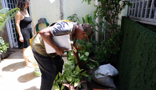 Mortes por dengue superam as de covid-19 em 2024, aponta Ministério da Saúde