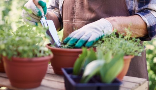 Veja as principais vagas de emprego do Simm e do SineBahia nesta sexta-feira