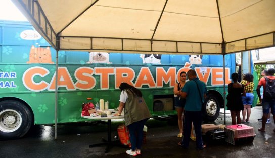 Castramóvel atende pets na Av. Paralela até o fim de fevereiro