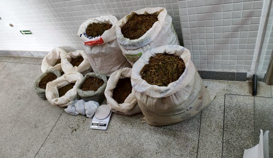 Operação Alvorada: polícia prende cinco suspeitos e apreende 46 kg de maconha na Bahia