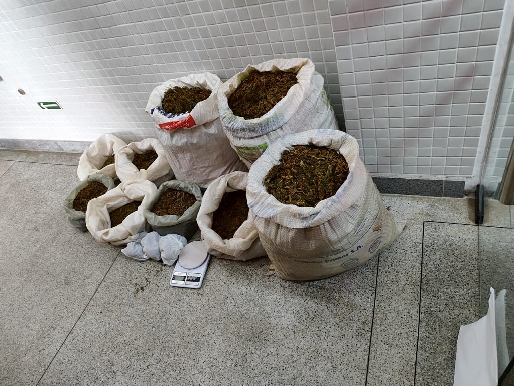 Operação Alvorada: polícia prende cinco suspeitos e apreende 46 kg de maconha na Bahia