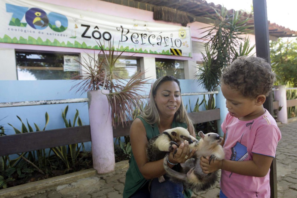 Zoológico funciona normalmente no feriado de 7 de setembro