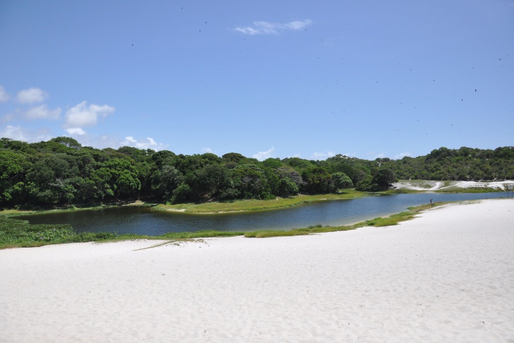 Projeto leva música à Lagoa do Abaeté