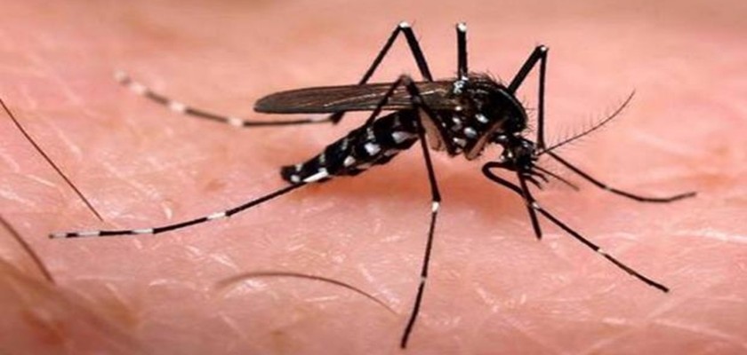 Brasil vai enfrentar primeiro verão com dengue, chikungunya e Zika