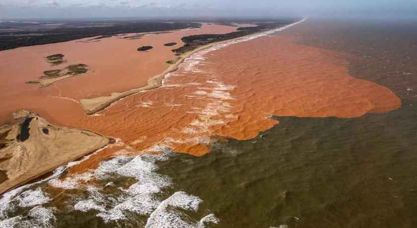 REFLEXO DA POLUIÇÃO: Por lama da Samarco, venda de peixes despenca durante Semana Santa