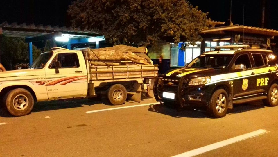 &#8216;DESCEU O PAU&#8217;: PRF apreende homem por transporte irregular de madeira nativa na BR-116