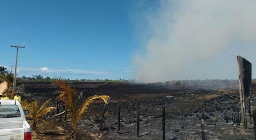 SANTA CRUZ CABRÁLIA: Bombeiros conseguem controlar incêndio em Área de Proteção Ambiental