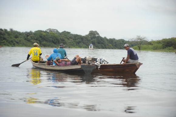 Petrobras anuncia produção de biodiesel a partir de óleo de peixe