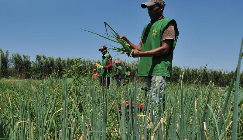 Cadastro Ambiental Rural é prorrogado por mais um ano para pequenos produtores