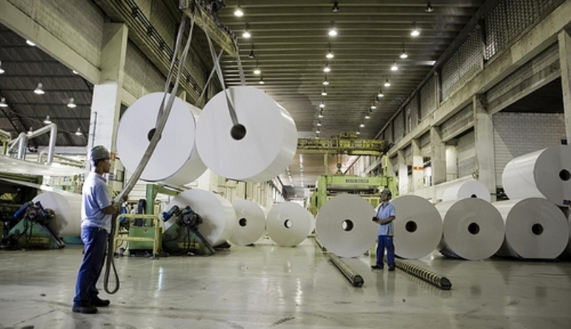 REFORMA AGRÁRIA: Em protesto, integrantes do MST ocupam fábrica de papel e celulose no sul da Bahia