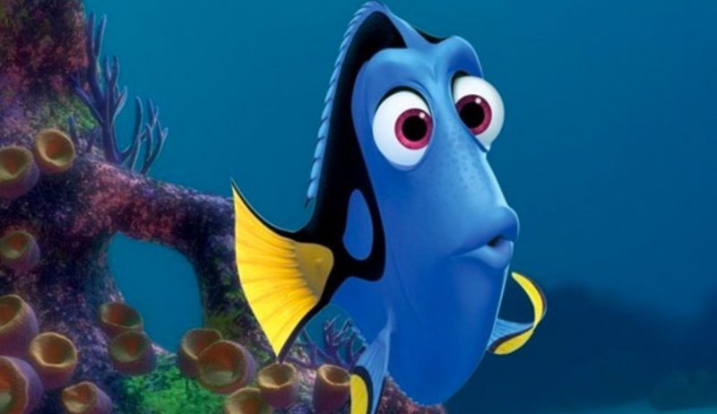 DIVERSIDADE: Filme ?Procurando Dory? apresenta primeiro personagem transgênero da Disney