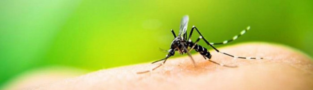 Sancionada lei que permite entrada forçada em imóveis com focos de Aedes