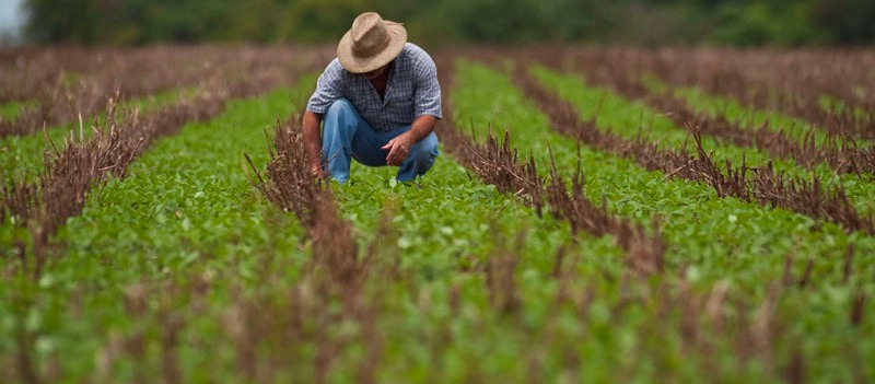 Produtores rurais da Bahia e mais cinco estados afetados pela seca poderão renegociar dívidas