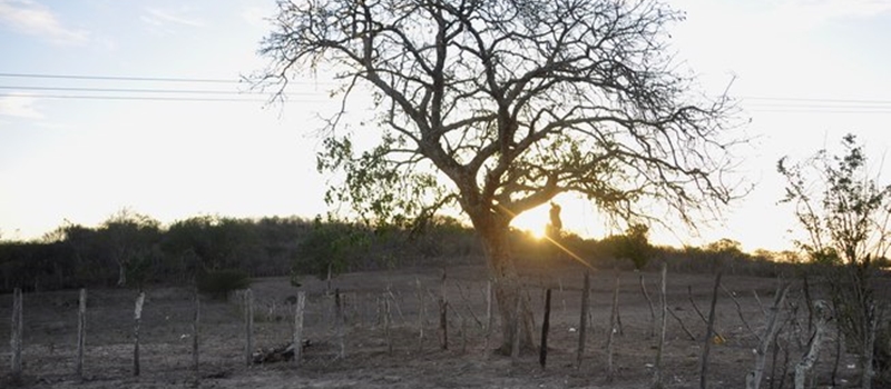 SECA: Às vésperas de pior mês, 19% dos municípios da Bahia já decretaram emergência