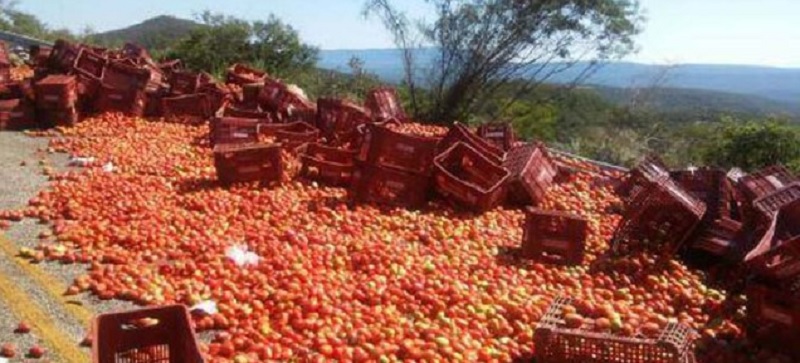 CURVA SINISTRA: Caminhão carregado de tomates tomba e três ficam feridos na BR 324