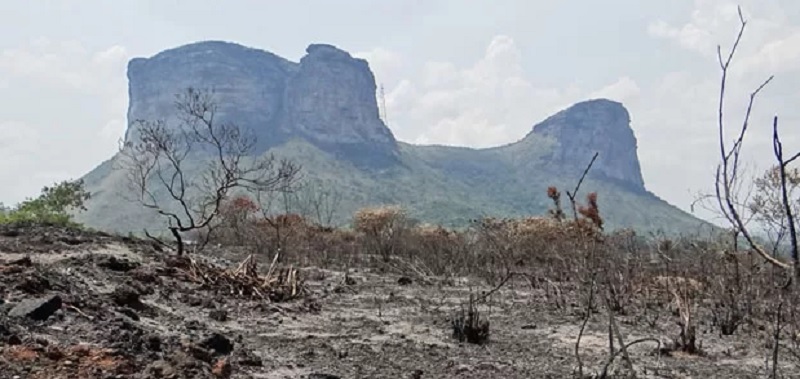 FOGO CONSUMIDOR: Incêndio atinge Proteção Ambiental na Chapada Diamantina