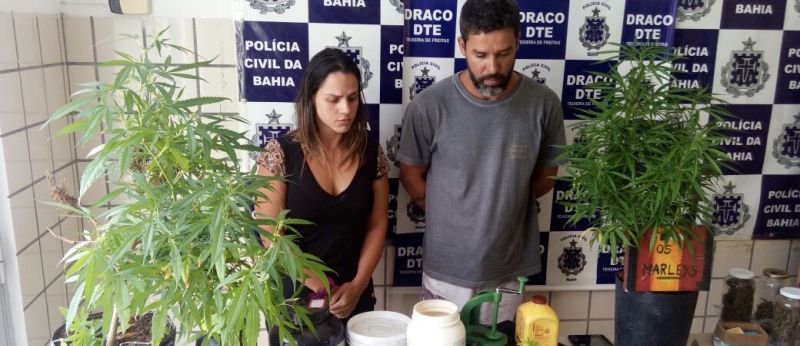 CONCORRÊNCIA DESLEAL: Casal é preso suspeito de cultivar e vender drogas em restaurante na Bahia