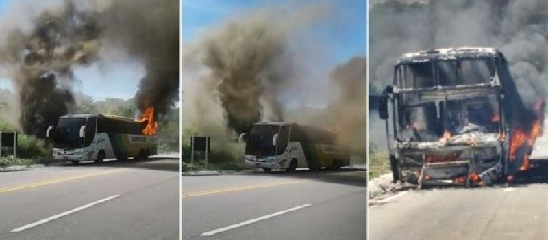 EM CHAMAS: Ônibus pega fogo na BR-116 e destrói bagagens dos passageiros; Assista ao vídeo