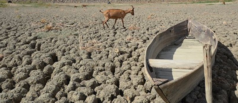 ALARMANTE: Pesquisadores preveem agravamento da seca no Nordeste entre fevereiro e abril