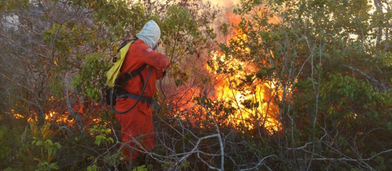 INCÊNDIO NA SERRA: Operação Bahia Sem Fogo controla as chamas no município de Campo Formoso