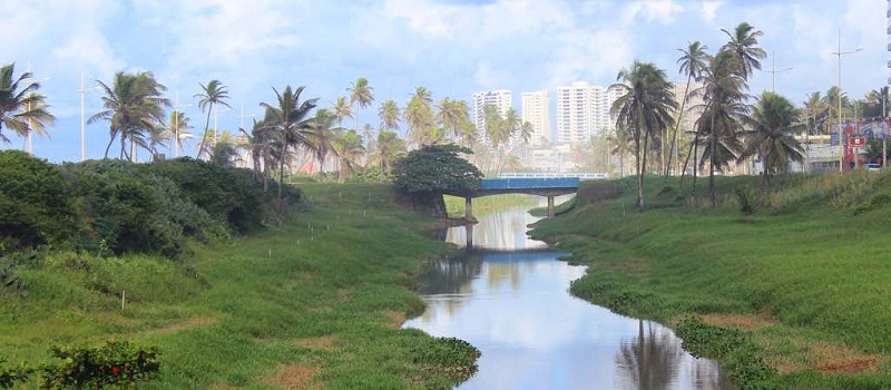 MOVIMENTO VERDE:  Moradores vão à Justiça e usam redes sociais contra revitalização do Rio Jaguaribe