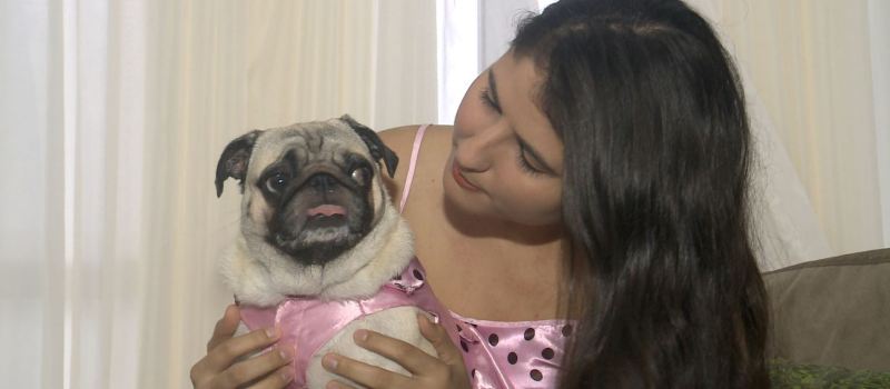 &#8216;CARA DE UM, FOCINHO DO OUTRO&#8217;: Veja os donos que se consideram parecidos com seus cachorros