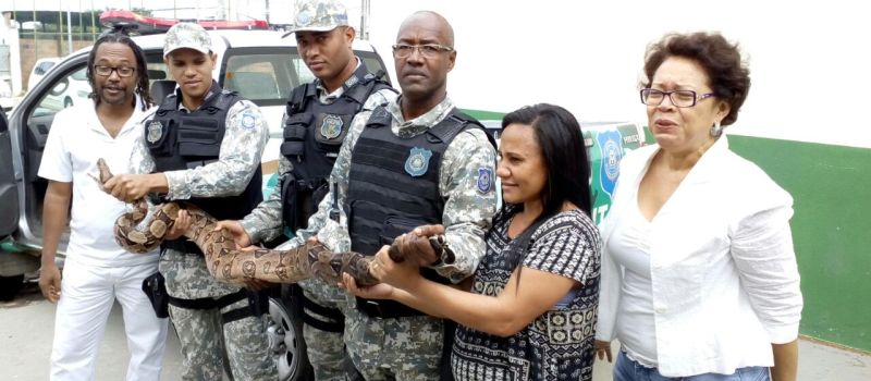 SUSTO: Alunos encontram cobra de 2,5 metros em escola de Salvador