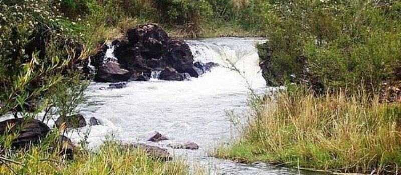 &#8216;DARK WATER&#8217;: PF deflagra operação de combate a crimes ambientais no interior do estado