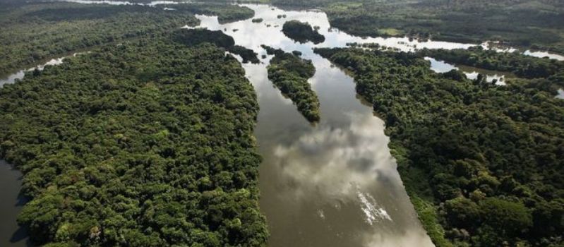 DEU PRA TRÁS: Governo de Temer revoga decreto que acabaria com área preservada na Amazônia