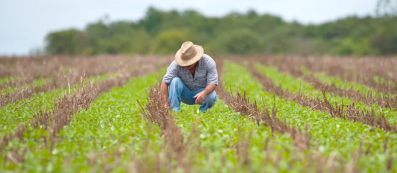 FUNRURAL: Parecer sobre eficácia da resolução que pôs fim ao fundo é entregue no Senado