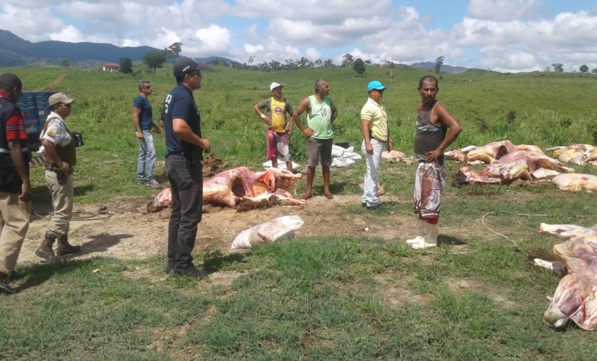 ILEGAL: Polícia Civil e Adab apreendem 2,5 toneladas de carne em Itapetinga