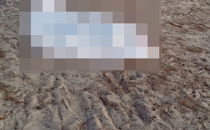 Corpo de jovem que se afogou em Praia do Guaibim é localizado na Ponta do Curral