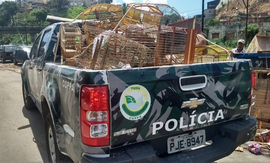 Polícia de Proteção Ambiental prende 12 pessoas e apreende 102 animais na Baixa do Fiscal