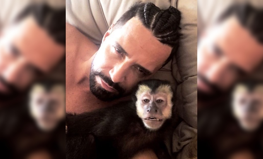 TRISTE! Macaco de estimação de Latino morre atropelado; &#8220;Dia mais infeliz da minha vida&#8221;