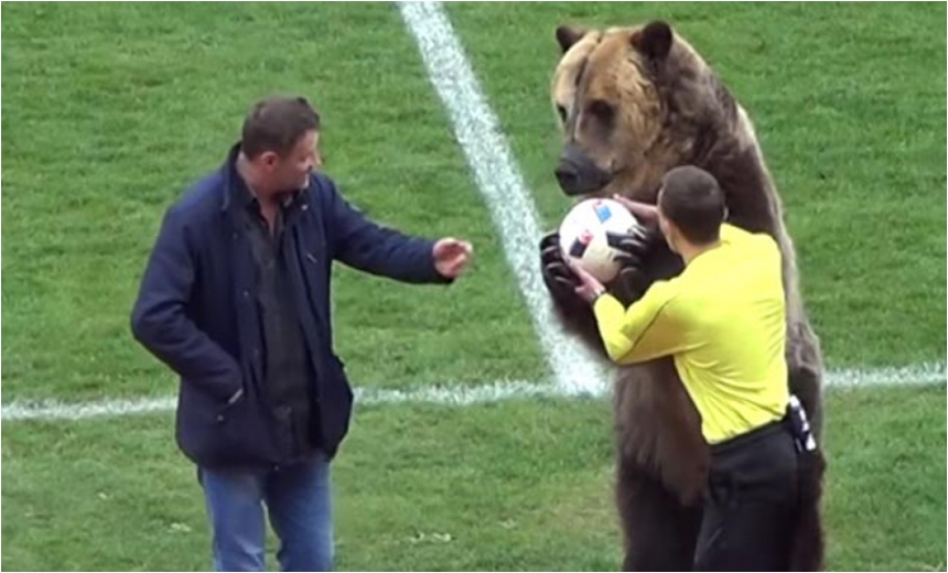 VÍDEO: Urso é usado para entregar bola a juiz na 3ª divisão russa e pode &#8216;aparecer&#8217; na Copa