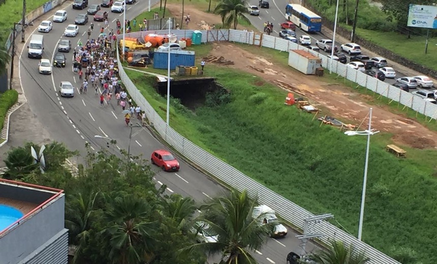 VEJA VÍDEOS: Grupo volta a protestar contra derrubada de árvores para obras do BRT