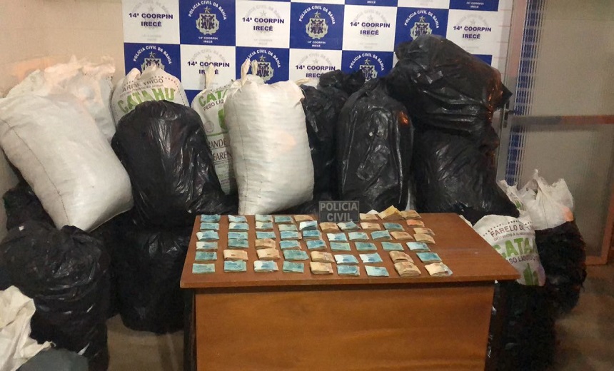 MUITA DROGA: Polícia apreende 430 kg de maconha com homem no interior da Bahia