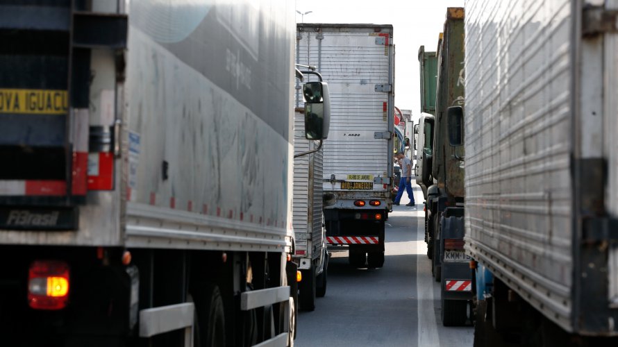 Mais de 50 milhões de aves já morreram desde o início da greve dos caminhoneiros