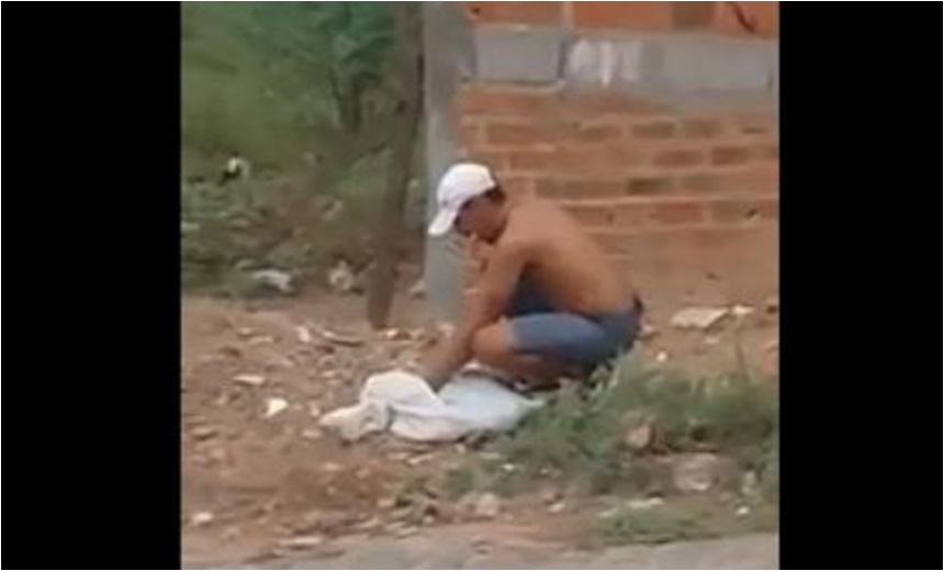 Homem é flagrado matando gatos a pedradas dentro de um saco em Jequié