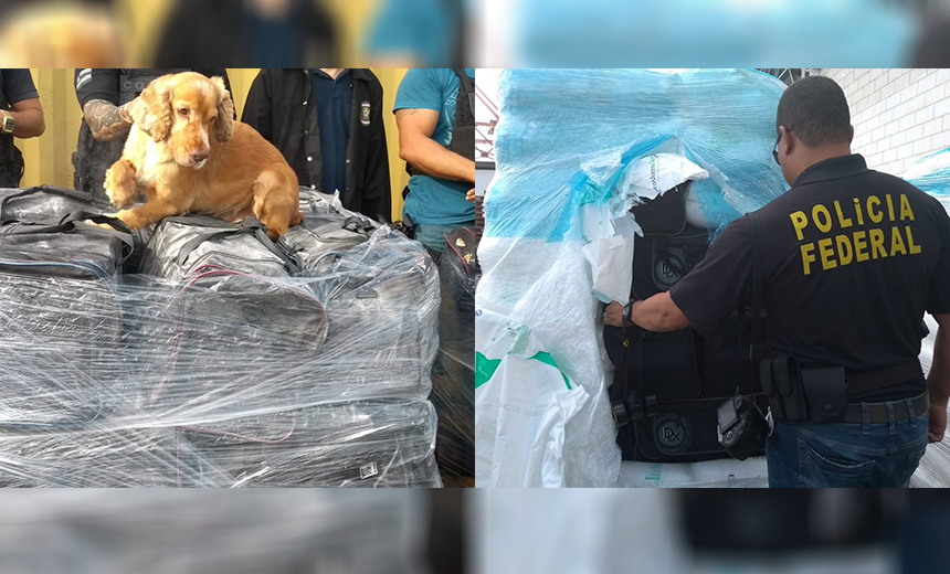 Cerca de 1,5 toneladas de cocaína é apreendida pela Polícia Federal no Porto de Salvador