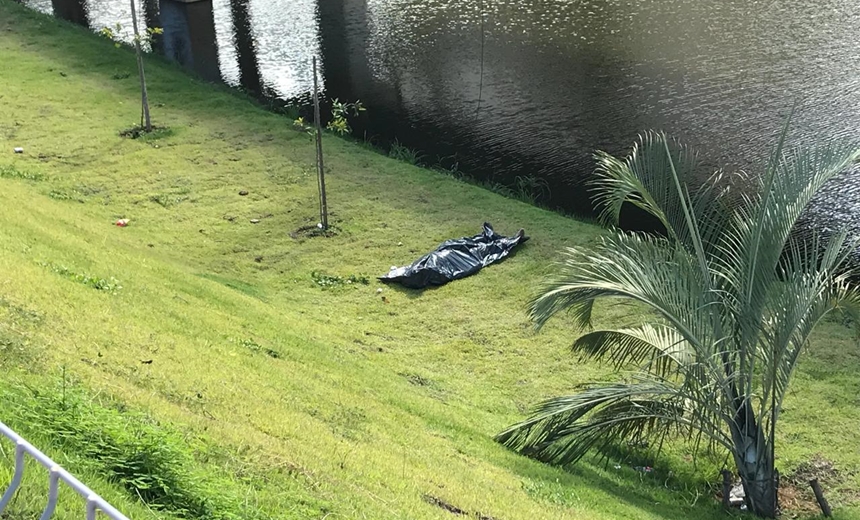 Homem morre com descarga elétrica ao tentar roubar fiação na avenida Paralela