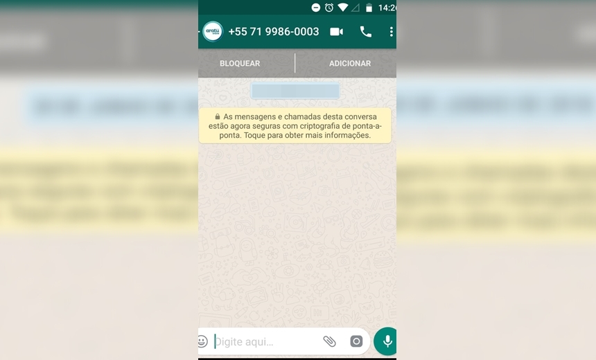 Você mais perto da Aratu: WhatsApp tem notícias, bate-papo e vídeos; mande mensagem