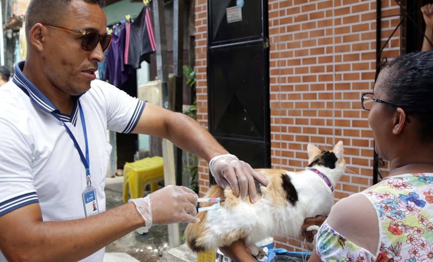 Campanha de vacinação antirrábica continua até esta semana em Salvador