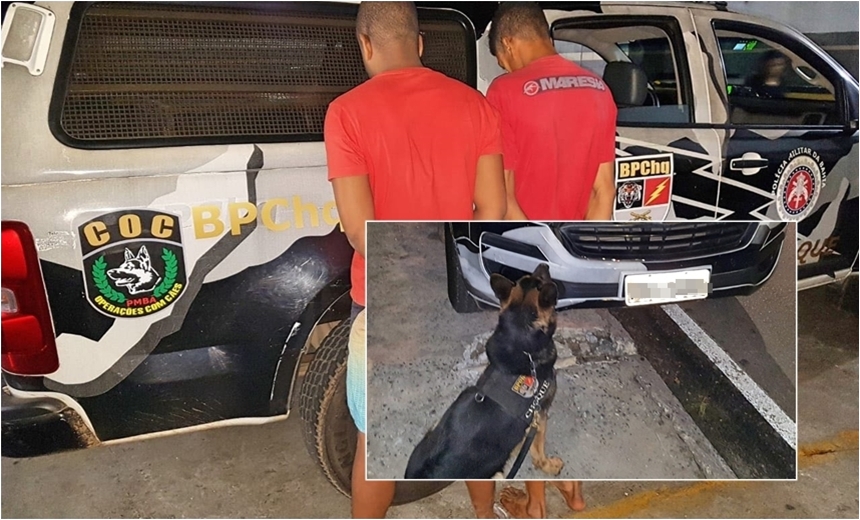 Cão do Batalhão de Choque encontra 30 kg de drogas no bairro de Plataforma