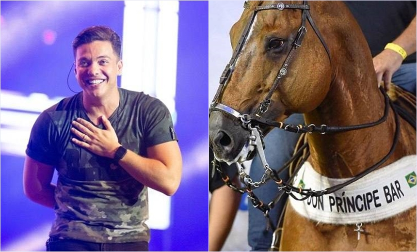 Após polêmica envolvendo pensão alimentícia, Wesley Safadão compra cavalo de R$ 2 milhões para filho recém-nascido