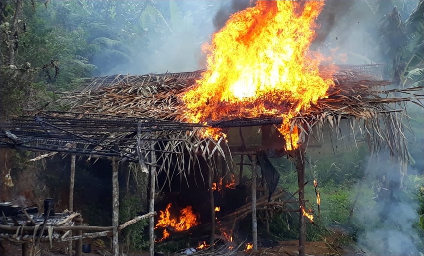 Cerca de 5 mil pés de maconha são encontrados em zona rural; material foi queimado